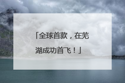 全球首款，在芜湖成功首飞！